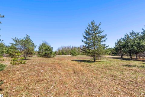 Tiny photo for 3470 Autumn Mist Lane, Thompsonville, MI 49683 (MLS # 1944194)