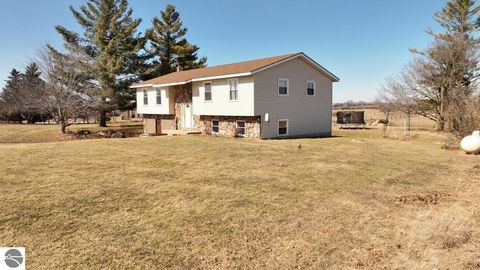Tiny photo for 4775 E Coleman Road, Clare, MI 48617 (MLS # 1942838)