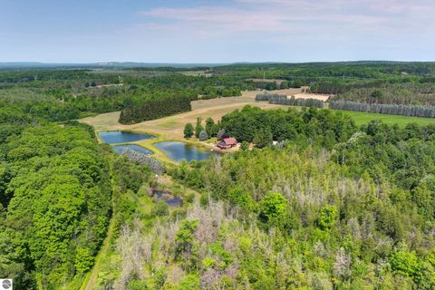 Tiny photo for 22559 Conrad Road, Copemish, MI 49625 (MLS # 1942671)
