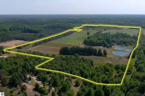 Tiny photo for 22559 Conrad Road, Copemish, MI 49625 (MLS # 1942671)