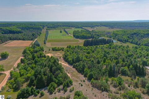 Tiny photo for 22559 Conrad Road, Copemish, MI 49625 (MLS # 1942671)