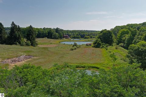 Tiny photo for 22559 Conrad Road, Copemish, MI 49625 (MLS # 1942671)