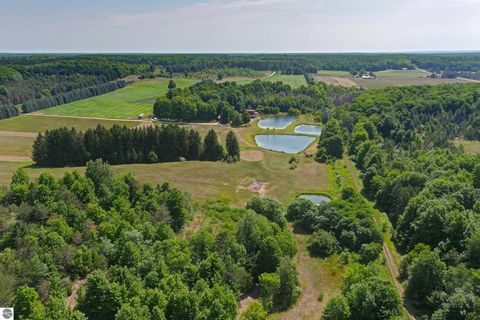 Tiny photo for 22559 Conrad Road, Copemish, MI 49625 (MLS # 1942671)