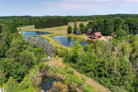 Tiny photo for 22559 Conrad Road, Copemish, MI 49625 (MLS # 1942671)