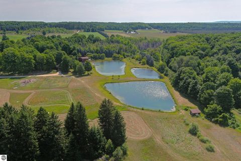 Tiny photo for 22559 Conrad Road, Copemish, MI 49625 (MLS # 1942671)