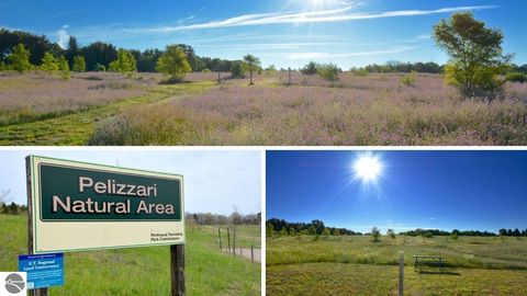 Tiny photo for 7878 Peninsula Drive, Traverse City, MI 49686 (MLS # 1945017)