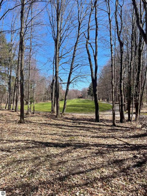 Tiny photo for 2500 Josef Strasse #442, Bellaire, MI 49615 (MLS # 1942770)