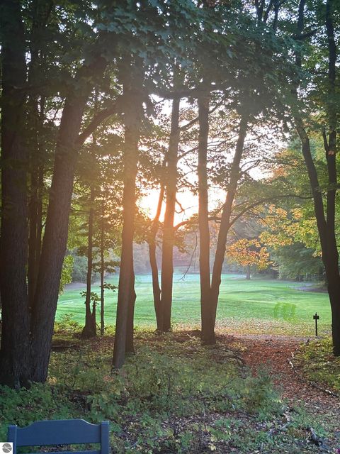 Tiny photo for 2500 Josef Strasse #442, Bellaire, MI 49615 (MLS # 1942770)