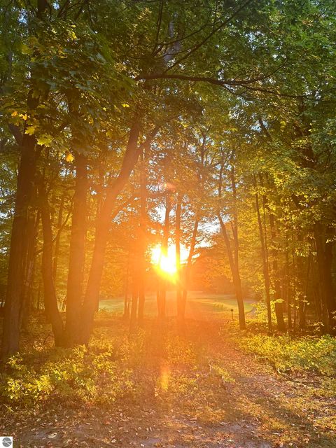 Tiny photo for 2500 Josef Strasse #442, Bellaire, MI 49615 (MLS # 1942770)