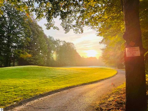 Tiny photo for 2500 Josef Strasse #442, Bellaire, MI 49615 (MLS # 1942770)