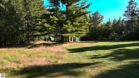 Tiny photo for 13685 Licht Road, Atlanta, MI 49709 (MLS # 1951755)