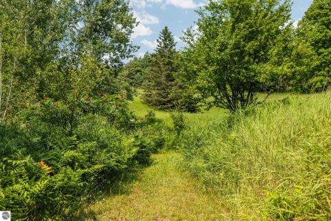 Tiny photo for 7741 S M-88 HWY, Mancelona, MI 49659 (MLS # 1948680)