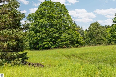 Tiny photo for 7741 S M-88 HWY, Mancelona, MI 49659 (MLS # 1948680)
