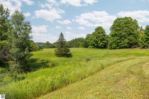 Tiny photo for 7741 S M-88 HWY, Mancelona, MI 49659 (MLS # 1948680)