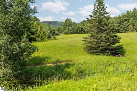 Tiny photo for 7741 S M-88 HWY, Mancelona, MI 49659 (MLS # 1948680)