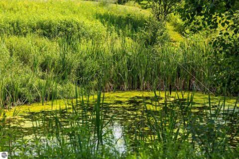 Tiny photo for 7741 S M-88 HWY, Mancelona, MI 49659 (MLS # 1948680)