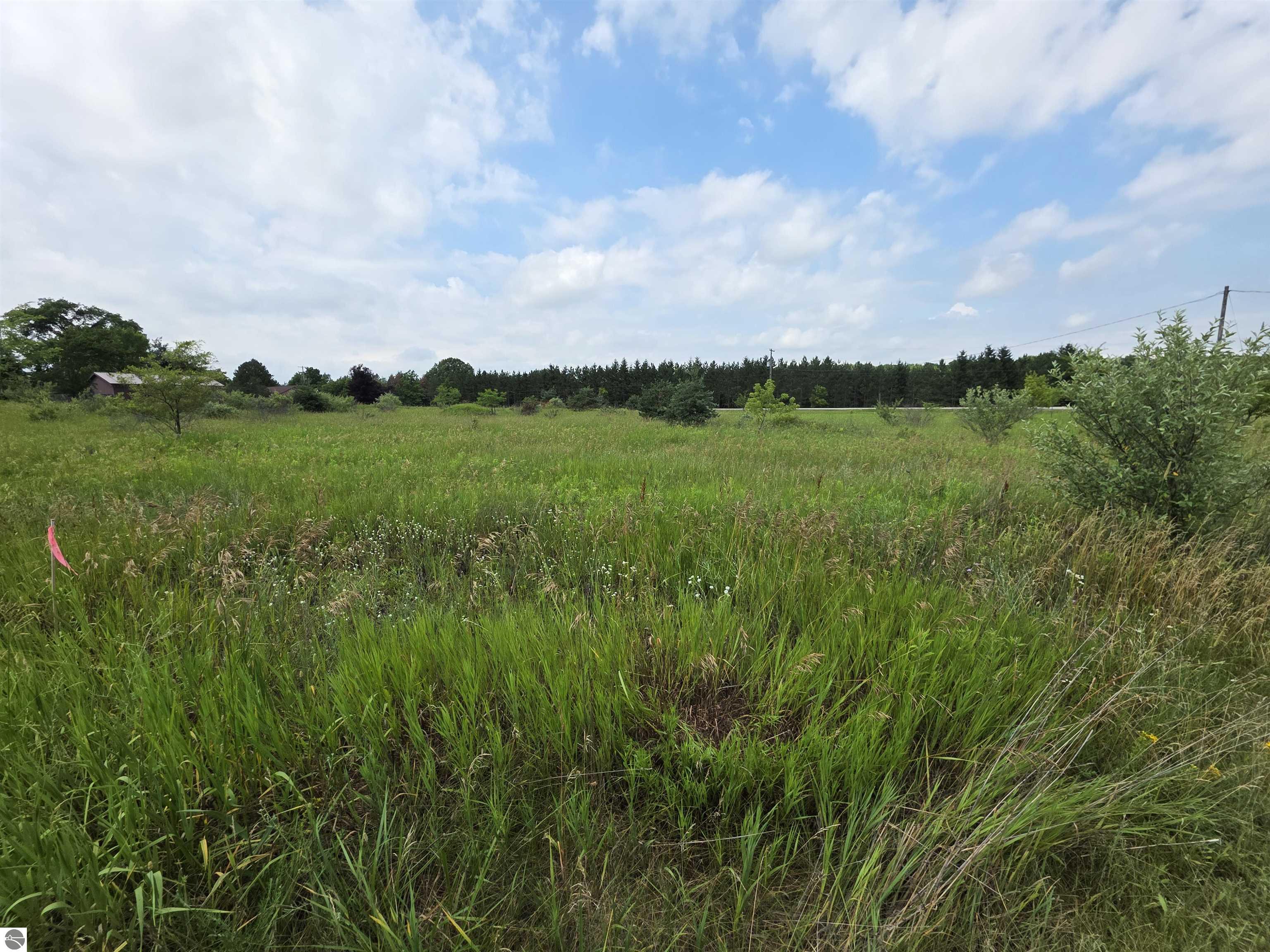 Photo 1 of 11 — TBD W Remus Road, Mt Pleasant, MI 48858