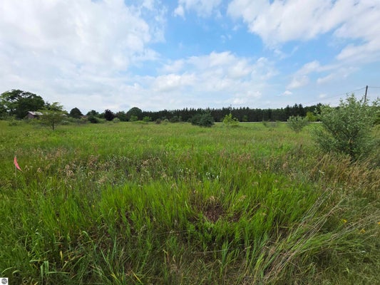 W REMUS RD, MOUNT PLEASANT, MI 48858 - Image 44eddc9d3fcc121e2fc066bce95eee6b/3331774076