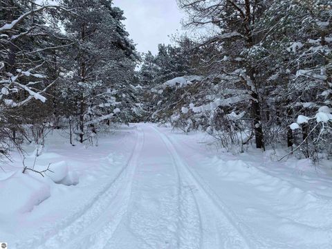 Tiny photo for 3434 E 14 Road, Manton, MI 49663 (MLS # 1941117)