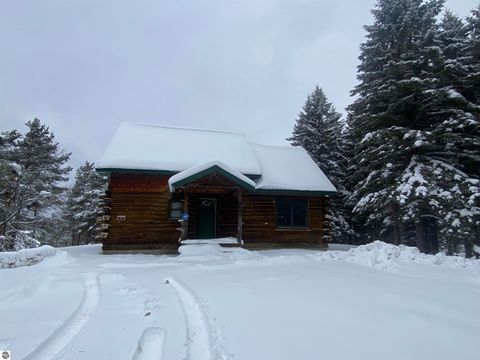 Tiny photo for 3434 E 14 Road, Manton, MI 49663 (MLS # 1941117)