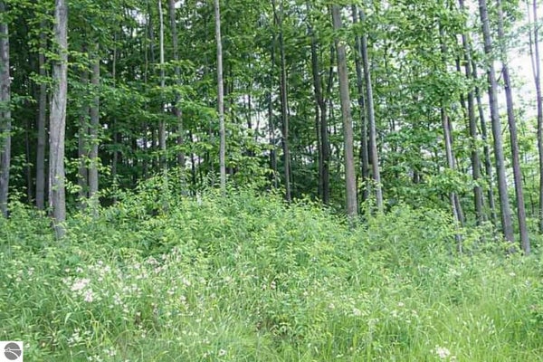8877 CEDAR CREEK DR, PETOSKEY, MI 49770 - Image 45e228440b1dfaa9aeaa51c6e332a2ff/2805374567