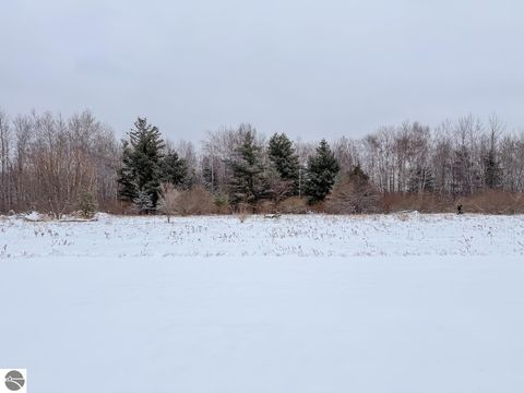 Tiny photo for 6570 N Geneva Road, Coleman, MI 48618 (MLS # 1941922)