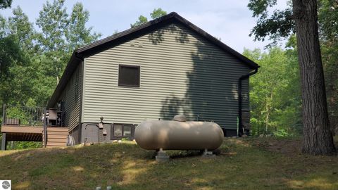 Tiny photo for 5005 White Birch Lane, Farwell, MI 48622 (MLS # 1948205)