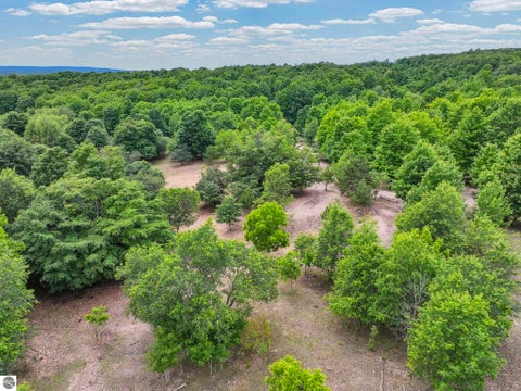 Tiny photo for 6351 N 33 Road, Manton, MI 49663 (MLS # 1947069)