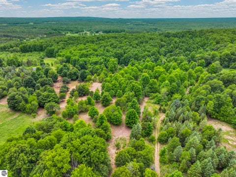Tiny photo for 6351 N 33 Road, Manton, MI 49663 (MLS # 1947069)