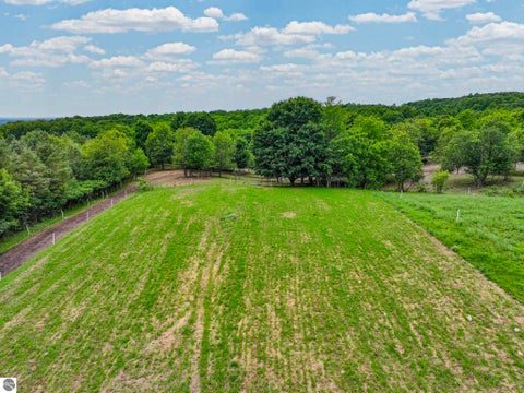 Tiny photo for 6351 N 33 Road, Manton, MI 49663 (MLS # 1947069)