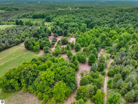 Tiny photo for 6351 N 33 Road, Manton, MI 49663 (MLS # 1947069)