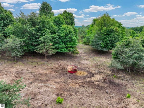Tiny photo for 6351 N 33 Road, Manton, MI 49663 (MLS # 1947069)