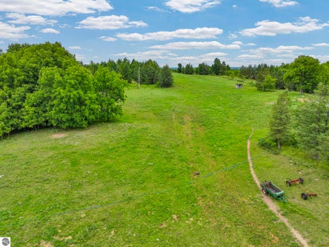 Tiny photo for 6351 N 33 Road, Manton, MI 49663 (MLS # 1947069)
