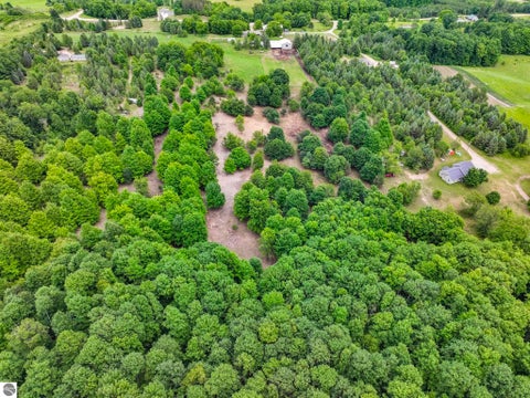 Tiny photo for 6351 N 33 Road, Manton, MI 49663 (MLS # 1947069)