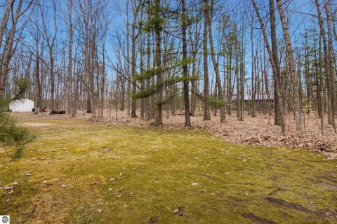 Tiny photo for 7625 Anthony Street, Fife Lake, MI 49633 (MLS # 1944230)