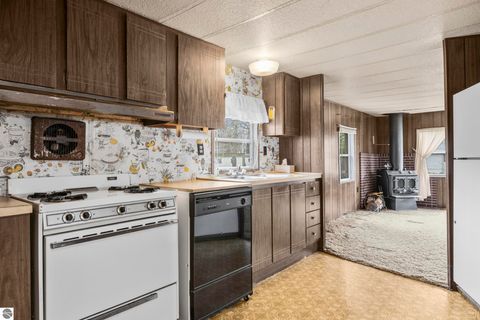 Tiny photo for 7625 Anthony Street, Fife Lake, MI 49633 (MLS # 1944230)