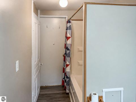 Tiny photo for 319 W Saginaw Street, St Louis, MI 48880 (MLS # 1947531)