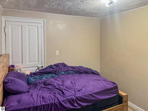 Tiny photo for 319 W Saginaw Street, St Louis, MI 48880 (MLS # 1947531)