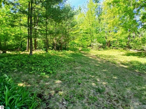 Tiny photo for 4627 Heart 2 Heart TRL, Gaylord, MI 49735 (MLS # 1946176)