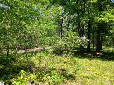 Tiny photo for 4627 Heart 2 Heart TRL, Gaylord, MI 49735 (MLS # 1946176)