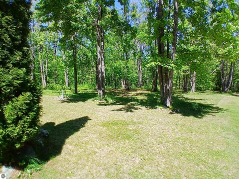 Tiny photo for 4627 Heart 2 Heart TRL, Gaylord, MI 49735 (MLS # 1946176)