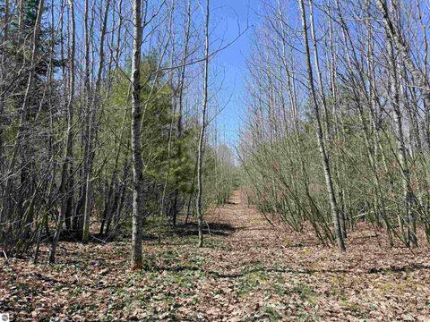 Tiny photo for 2856 Valley Road, Nw RD, Kalkaska, MI 49646 (MLS # 1945428)