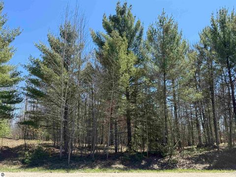 Tiny photo for 2856 Valley Road, Nw RD, Kalkaska, MI 49646 (MLS # 1945428)