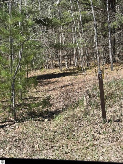 Tiny photo for 2856 Valley Road, Nw RD, Kalkaska, MI 49646 (MLS # 1945428)