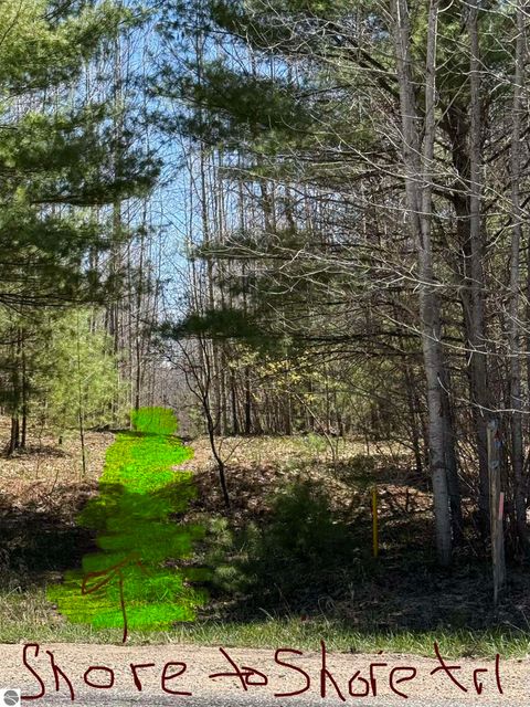 Tiny photo for 2856 Valley Road, Nw RD, Kalkaska, MI 49646 (MLS # 1945428)
