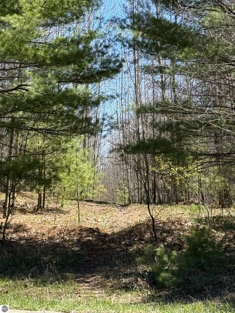 Tiny photo for 2856 Valley Road, Nw RD, Kalkaska, MI 49646 (MLS # 1945428)