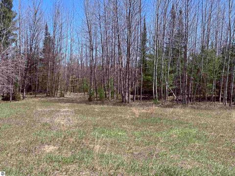 Tiny photo for 2856 Valley Road, Nw RD, Kalkaska, MI 49646 (MLS # 1945428)