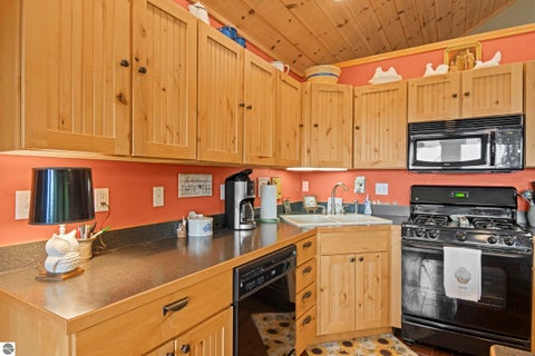 Tiny photo for 337 S East Torch Lake Drive, Bellaire, MI 49615 (MLS # 1946626)