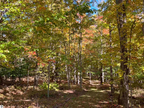 Tiny photo for 337 S East Torch Lake Drive, Bellaire, MI 49615 (MLS # 1946626)