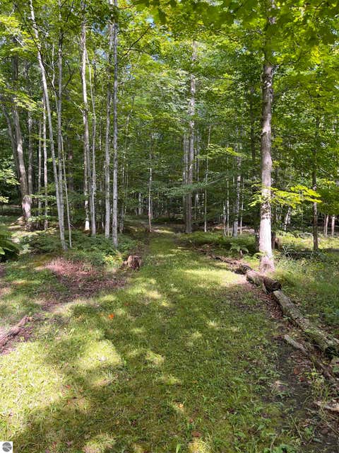 Tiny photo for 337 S East Torch Lake Drive, Bellaire, MI 49615 (MLS # 1946626)